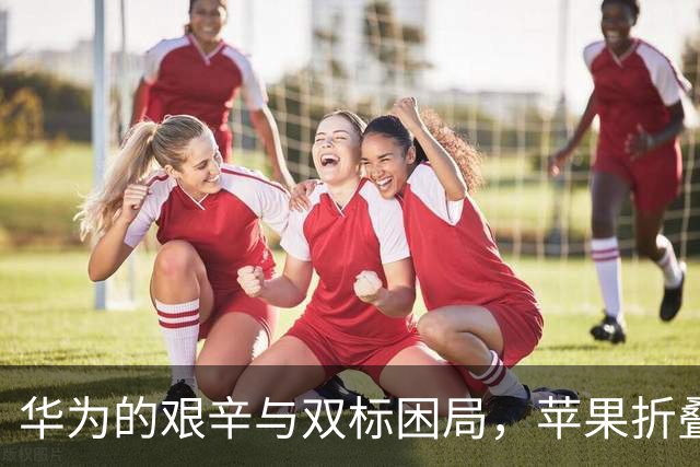 华为的艰辛与双标困局，苹果折叠屏挑战现状